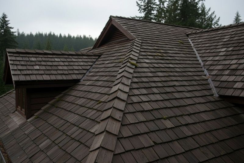 Cedar Shingles Replacement in Alexandria, VA